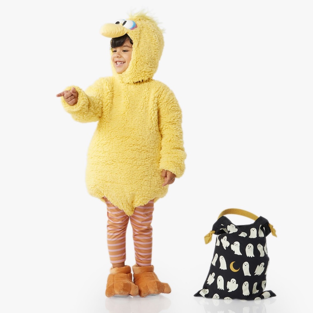 Sesame Street® Big Bird Costume - PBK